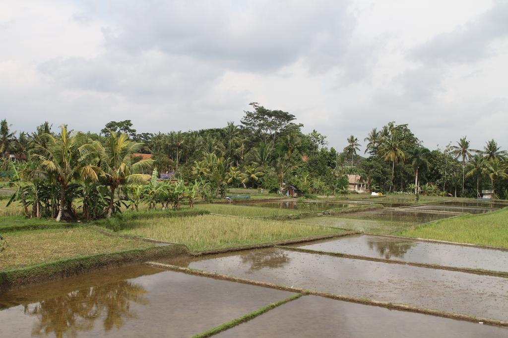 Villa Kami Ubud Eksteriør billede