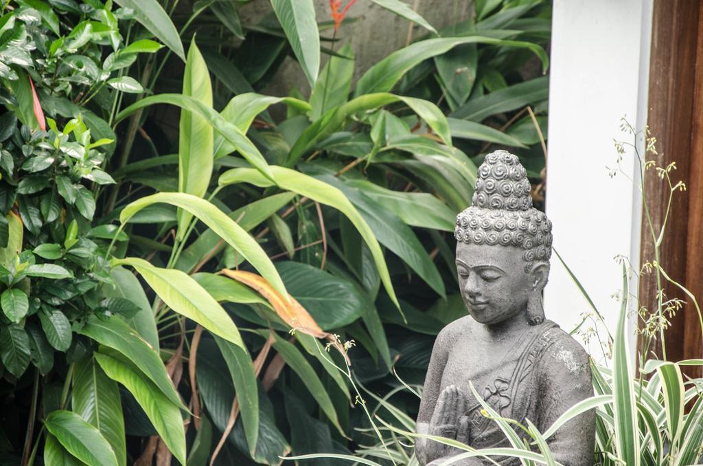 Villa Kami Ubud Eksteriør billede
