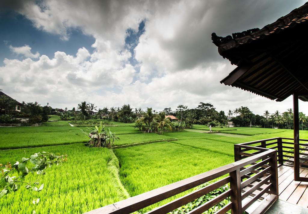 Villa Kami Ubud Eksteriør billede